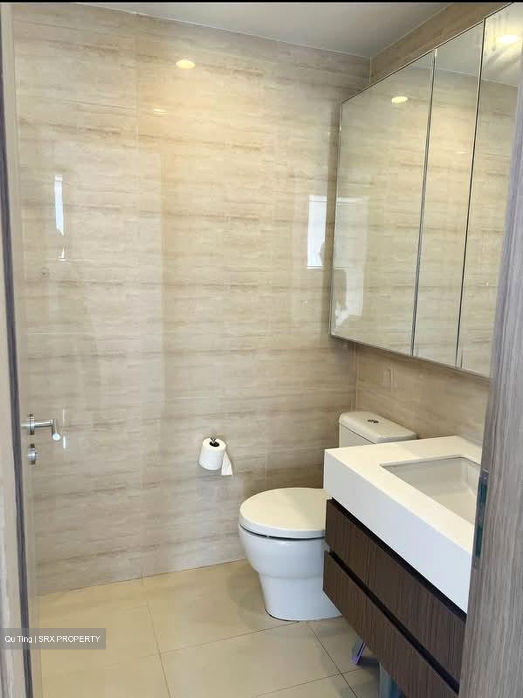 The Palette (D18), Condominium #530975501